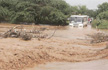 Chandigarh: Bus stranded on bridge submerged by water; 12 rescued