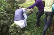 Watch: BJP Candidate kicked into bushes as Bengal votes for 3 bypolls