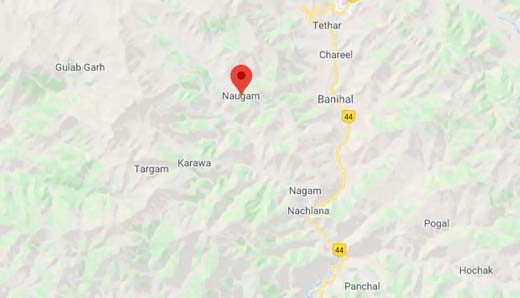 Pak violates ceasefire along LoC in Naugam sector of Jammu and Kashmir