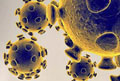 Study proves conspiracy theorists wrong - coronavirus came from nature