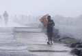 Cyclone Nivar: Heavy rain batters Tamil Nadu, Puducherry