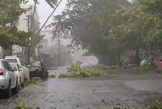 Man dies as electric pole falls on him in Maharashtras Alibaug during cyclone