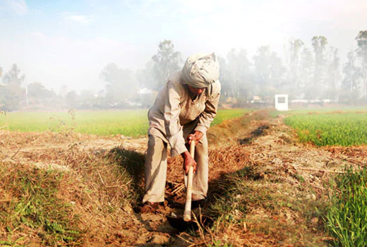 After migrant deaths, Centre says no data on farmer suicides