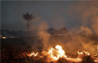 Brazil sends Army to fight Amazon fires; Donald Trump tweets support