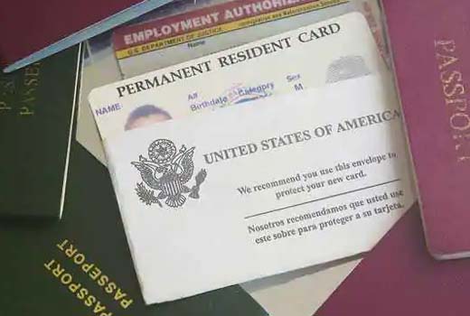 Green card wait list for an Indian more than 195 years: US Senator