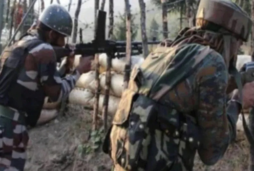 2 Hizbul Mujahideen terrorists gunned down by security forces in Nawakadal