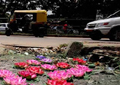 After Anaconda and Crocodile Lotuses bloom on a Bengaluru road