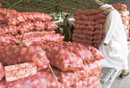 Onions import from Pakistan, China to wipe tears