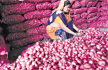 Imported onions not pungent enough, set to go on distress sale