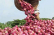 Centre offers imported onions to states at Rs 49-58 per kg