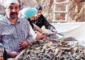 Remains of 100 Indian soldiers excavated from well in Punjab