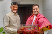 Rahul-Chandrababu Naidu rally in the works to Cement partnership