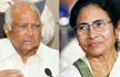 Rise against BJPs authoritarian regime: Sharad Pawar supports Mamata Banerjee in fight against CAA