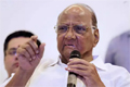 ’Wrong to say I am behind Ajit Pawar’s revolt’: Sharad Pawar