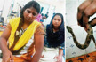 Snake bites Dharavi mother and daughter, woman carries snake to hospital