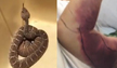 Selfie With Rattlesnake Costs Man Over $150,000