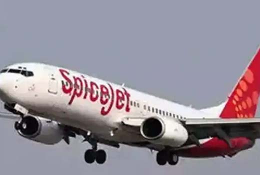 SpiceJet designated as Indian scheduled carrier to operate flights to US