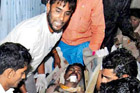 Death toll rises to 72 in Thane building collapse