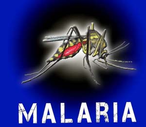 Malaria1