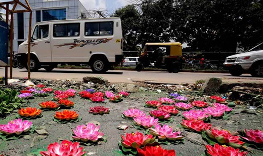 lotus_bengalur...